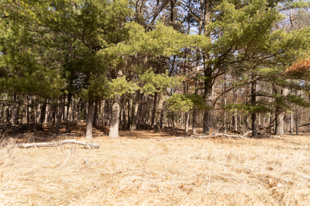 95+/- Acres located in Marquette and Green Lake Counties For Sale - image 11