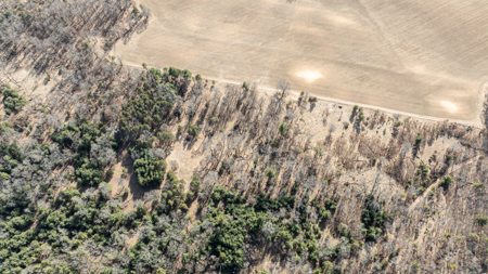 95+/- Acres located in Marquette and Green Lake Counties For Sale - image 3