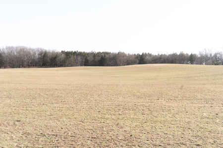 95+/- Acres located in Marquette and Green Lake Counties For Sale - image 15