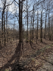 Land for Sale in Benton County, Tennessee - image 2
