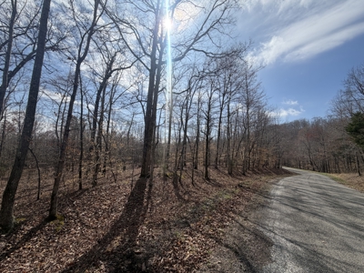 Land for Sale in Benton County, Tennessee - image 1