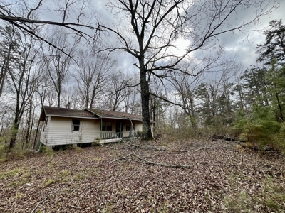 Rienzi, MS Potential Homesite +/-5.7 Acres - image 3