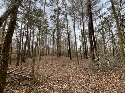 Rienzi, MS Potential Homesite +/-5.7 Acres - image 12