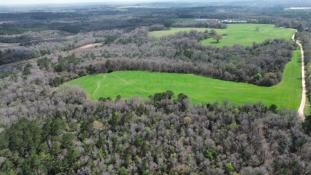 240± Acres for Sale in Barbour County, Alabama - image 14