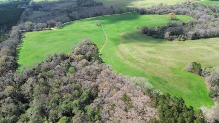 240± Acres for Sale in Barbour County, Alabama - image 2