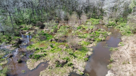 240± Acres for Sale in Barbour County, Alabama - image 13