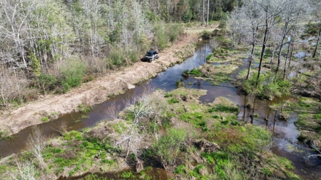 240± Acres for Sale in Barbour County, Alabama - image 12
