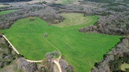 240± Acres for Sale in Barbour County, Alabama - image 1