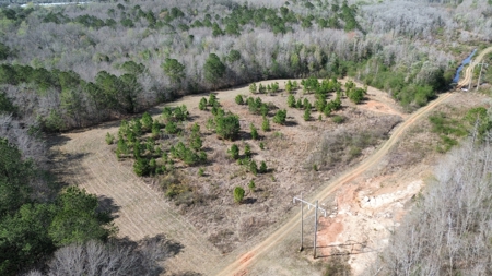 240± Acres for Sale in Barbour County, Alabama - image 6