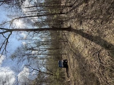 240± Acres for Sale in Barbour County, Alabama - image 16