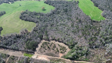 240± Acres for Sale in Barbour County, Alabama - image 5