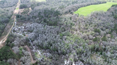 240± Acres for Sale in Barbour County, Alabama - image 8