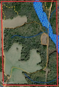 240± Acres for Sale in Barbour County, Alabama - image 18