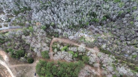 240± Acres for Sale in Barbour County, Alabama - image 9