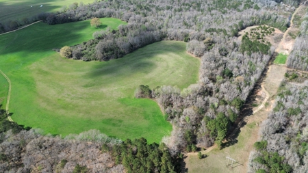 240± Acres for Sale in Barbour County, Alabama - image 3