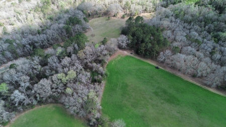 240± Acres for Sale in Barbour County, Alabama - image 4