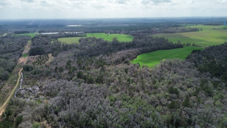 240± Acres for Sale in Barbour County, Alabama - image 10