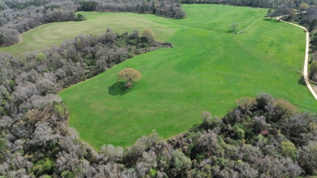 240± Acres for Sale in Barbour County, Alabama - image 15