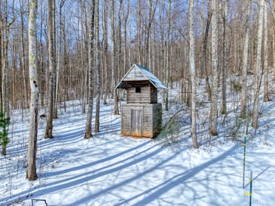 Country Home and Land for Sale in Floyd, VA - image 37