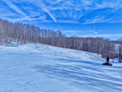 Country Home and Land for Sale in Floyd, VA - image 31