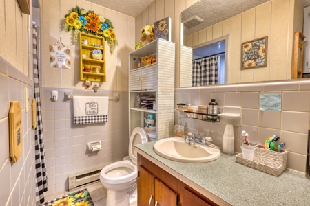 Country Home and Land for Sale in Floyd, VA - image 19