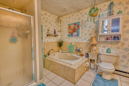 Country Home and Land for Sale in Floyd, VA - image 15