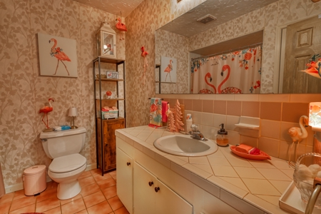 Country Home and Land for Sale in Floyd, VA - image 12