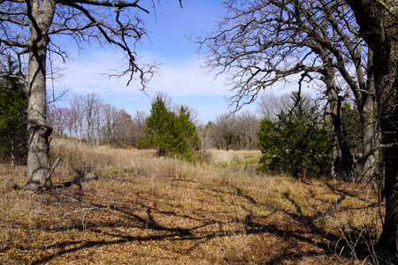 Central Oklahoma Hobby Horse Farm For Sale - image 31