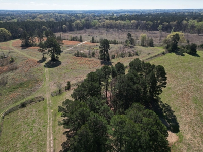 63-Acre Estate: 502 MC 72, Doddridge, AR | Shop & Pasture - image 10