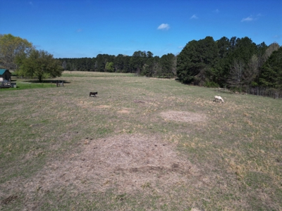 63-Acre Estate: 502 MC 72, Doddridge, AR | Shop & Pasture - image 16
