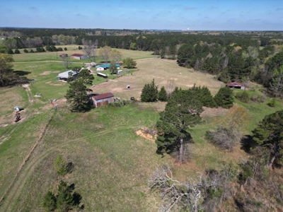 63-Acre Estate: 502 MC 72, Doddridge, AR | Shop & Pasture - image 13