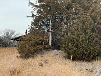 Premier Nebraska Hunting Retreat,  25 acres with Log Cabin - image 12