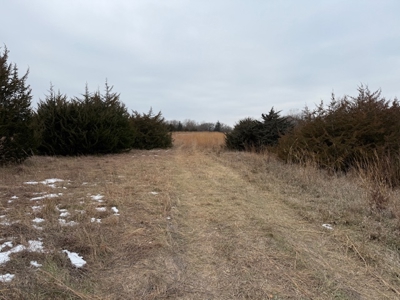 Premier Nebraska Hunting Retreat,  25 acres with Log Cabin - image 4