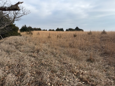 Premier Nebraska Hunting Retreat,  25 acres with Log Cabin - image 11