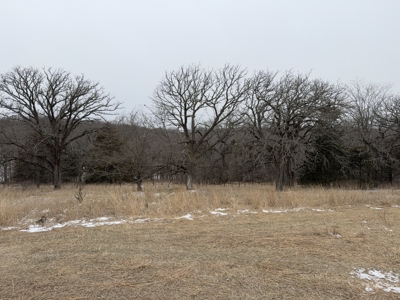 Premier Nebraska Hunting Retreat,  25 acres with Log Cabin - image 35