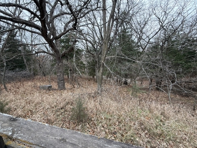 Premier Nebraska Hunting Retreat,  25 acres with Log Cabin - image 8