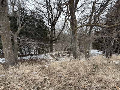 Premier Nebraska Hunting Retreat,  25 acres with Log Cabin - image 42