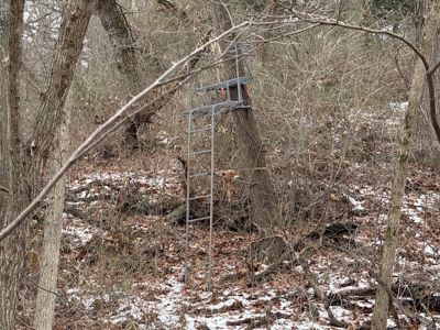 Premier Nebraska Hunting Retreat,  25 acres with Log Cabin - image 6