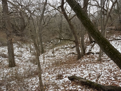 Premier Nebraska Hunting Retreat,  25 acres with Log Cabin - image 5