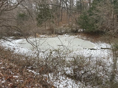Premier Nebraska Hunting Retreat,  25 acres with Log Cabin - image 3