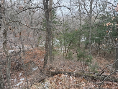 Premier Nebraska Hunting Retreat,  25 acres with Log Cabin - image 13