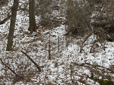 Premier Nebraska Hunting Retreat,  25 acres with Log Cabin - image 7