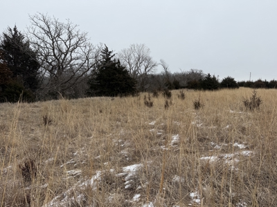 Premier Nebraska Hunting Retreat,  25 acres with Log Cabin - image 40