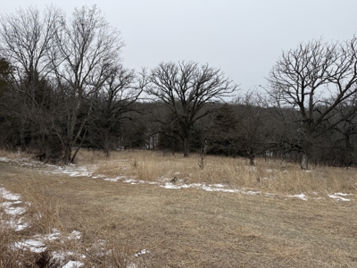 Premier Nebraska Hunting Retreat,  25 acres with Log Cabin - image 38