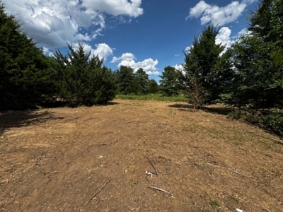 Gainesville TX Home on Acreage Near WinStar Casino Horse Property - image 39