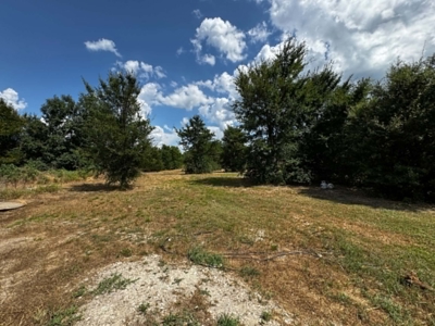 Gainesville TX Home on Acreage Near WinStar Casino Horse Property - image 35