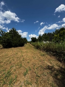 Gainesville TX Home on Acreage Near WinStar Casino Horse Property - image 31