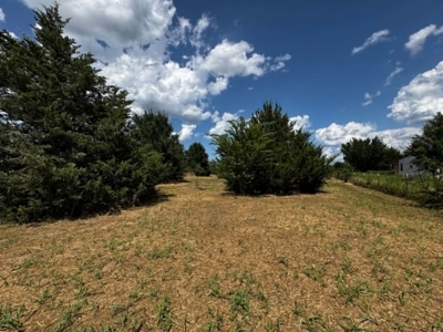 Gainesville TX Home on Acreage Near WinStar Casino Horse Property - image 33