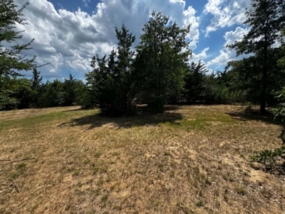Gainesville TX Home on Acreage Near WinStar Casino Horse Property - image 38