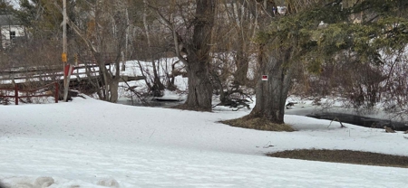 Turn-Key Deli Business Atlanta, MI – Investment Opportunity - image 3